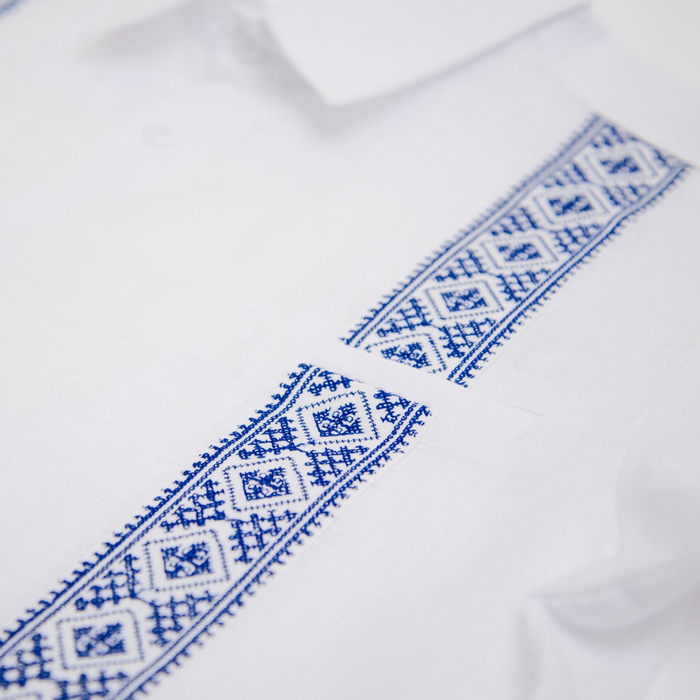 Guayabera Azul